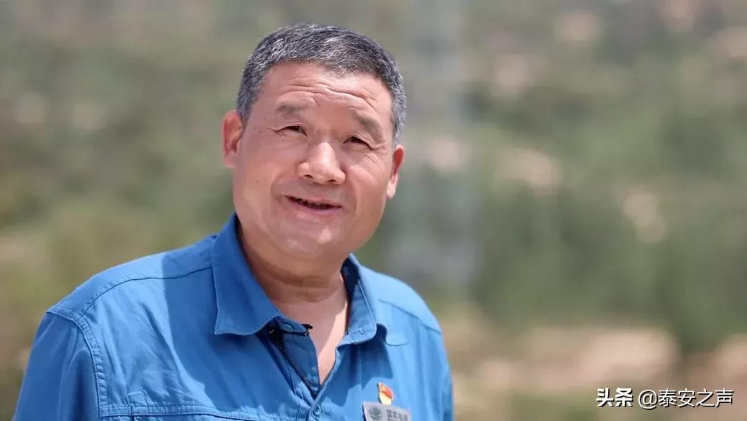 泰山隐藏路线,登泰山步行有几条路