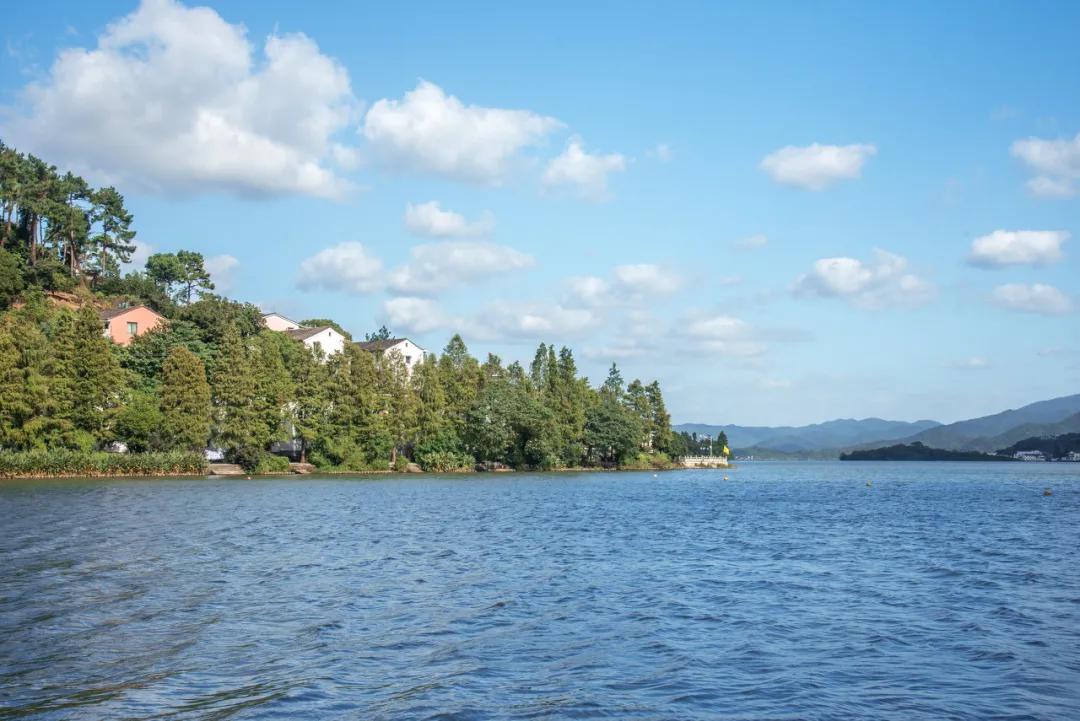 这该死的魅力啊,一个你意料之外的宁波