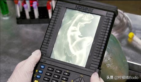 什么是科幻神剧情？美国电影《恐龙侵袭》，上海堡垒也要让位