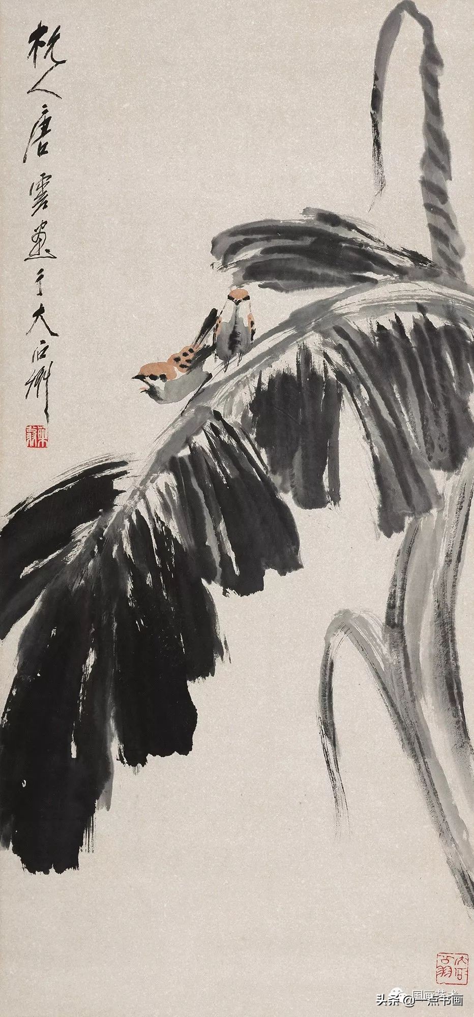 流光容易把人抛绿了芭蕉赏析,流光容易把人抛红了海棠绿了芭蕉