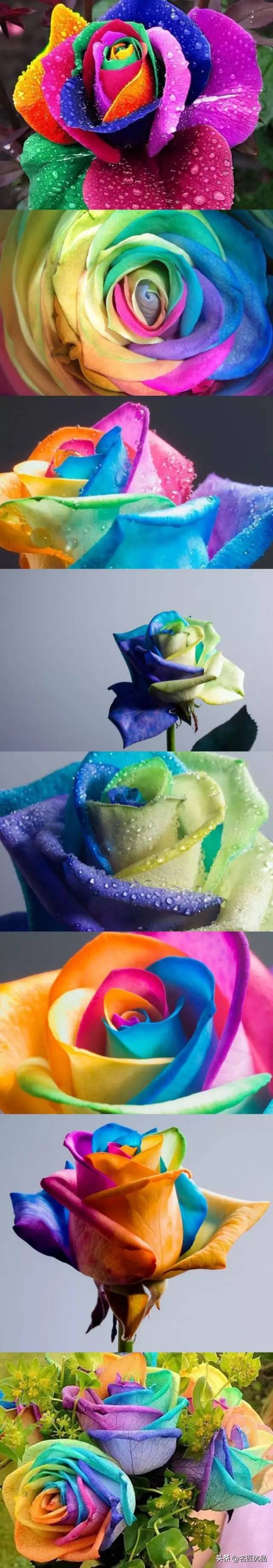 手工玫瑰怎么制作,玫瑰花手工制作白玫瑰