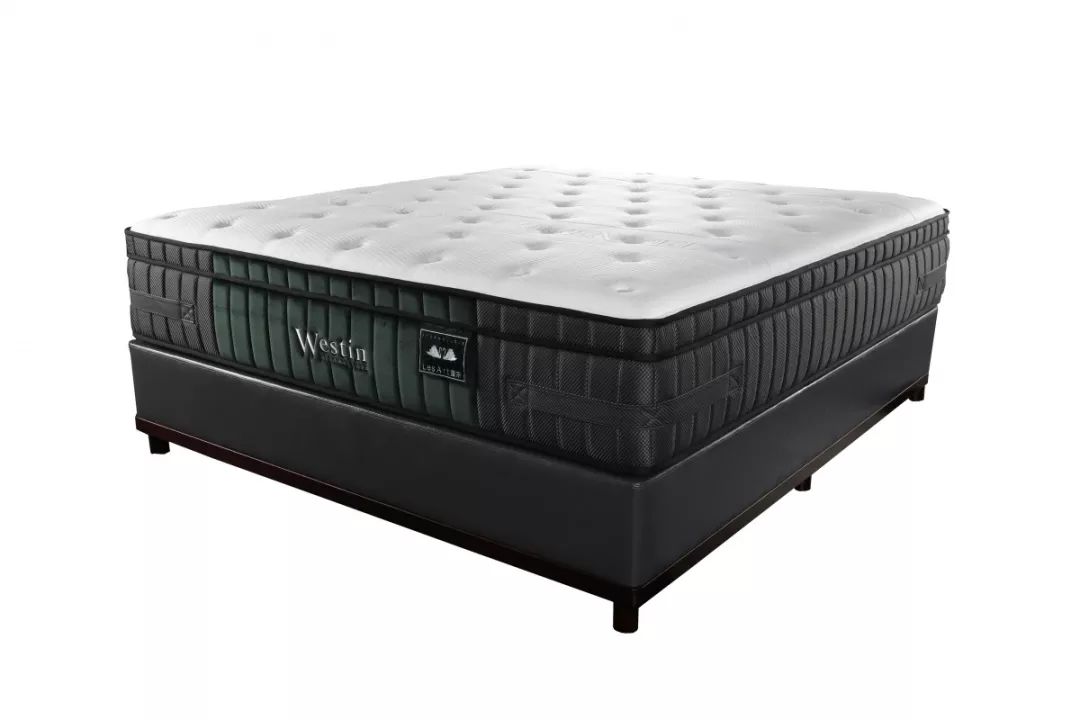 同心同行，共创辉煌丨叁壹伊梦代表经销商访谈