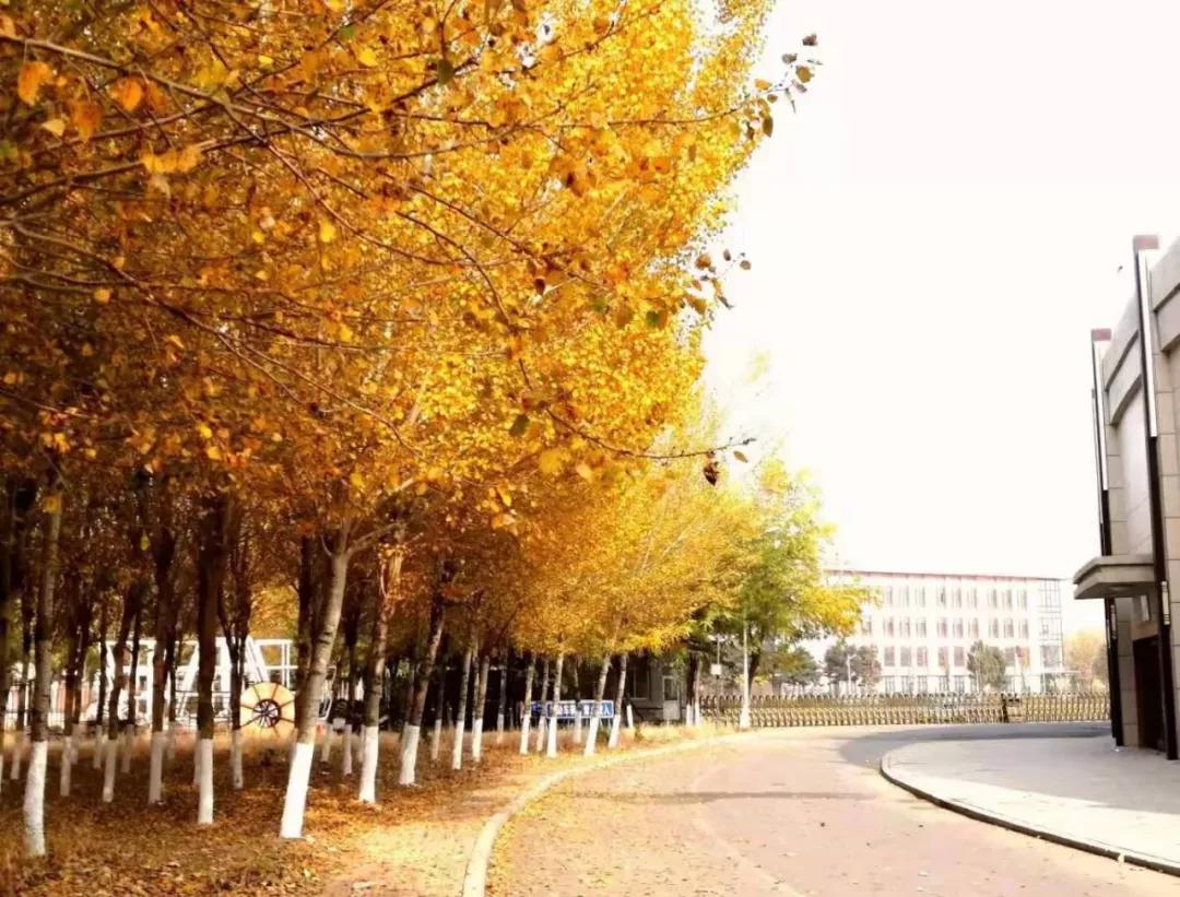 辽宁中医药大学杏林学院独立学院,辽宁中医药大学三个校区