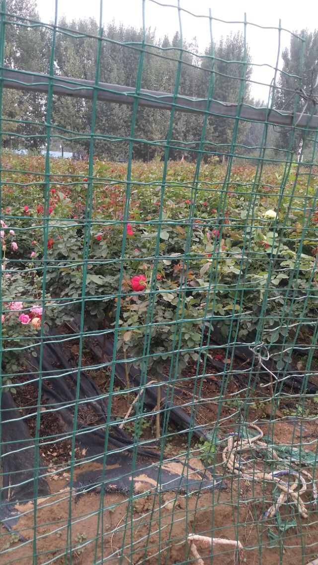 南阳李宁体育园的健身房,李宁体育园南阳