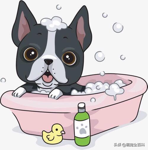 狗狗的体味，大伙知道怎么有效处理吗？一起去看看吧