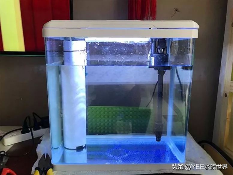 反气举多久能建立硝化系统,反气举可以培养硝化菌吗