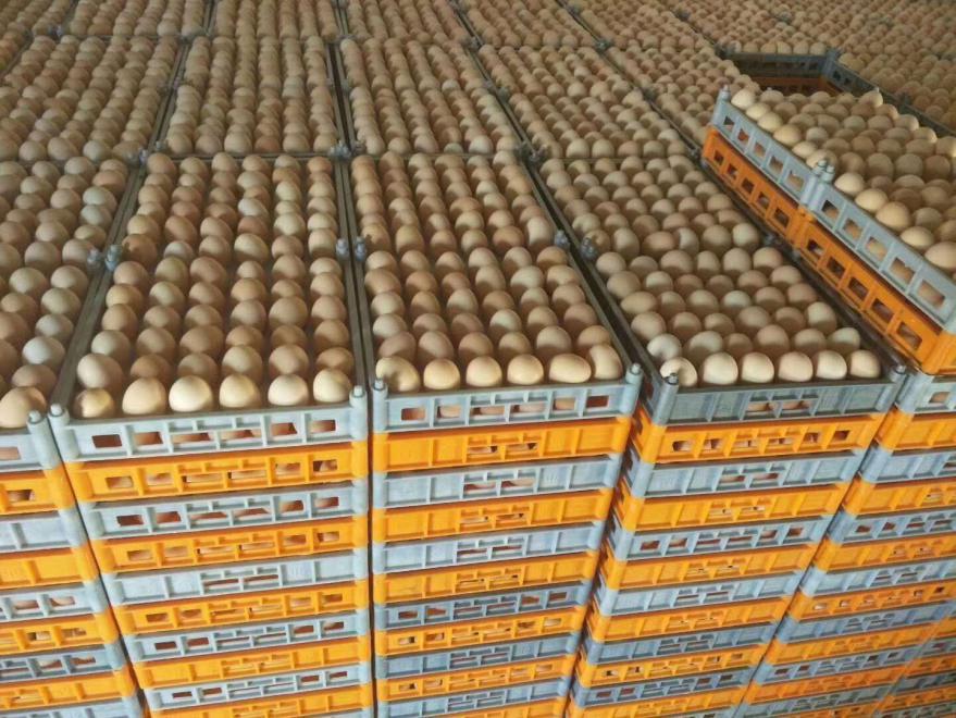 一站式便民利民服务,一站式服务助力企业