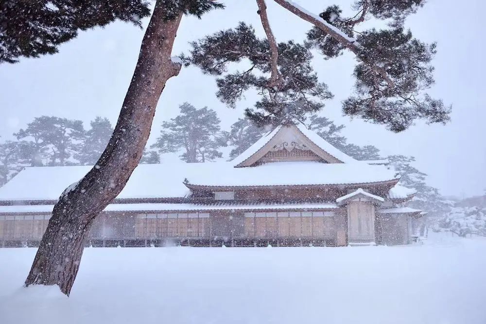 人像三要素果然名不虚传,人像三要素到底是什么意思