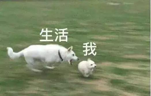 三台涪江洪水最新视频,三台涪江暴雨泄洪