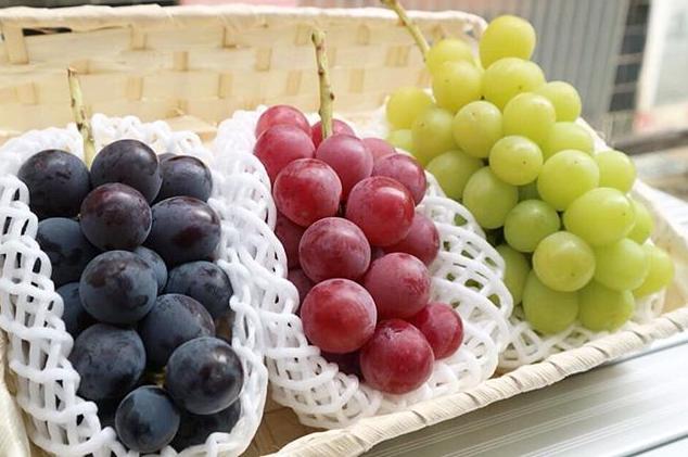 日本四季水果有哪几种,日本最好的五种水果