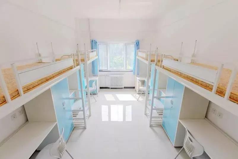 辽宁省民办大学（二）大连东软信息学院