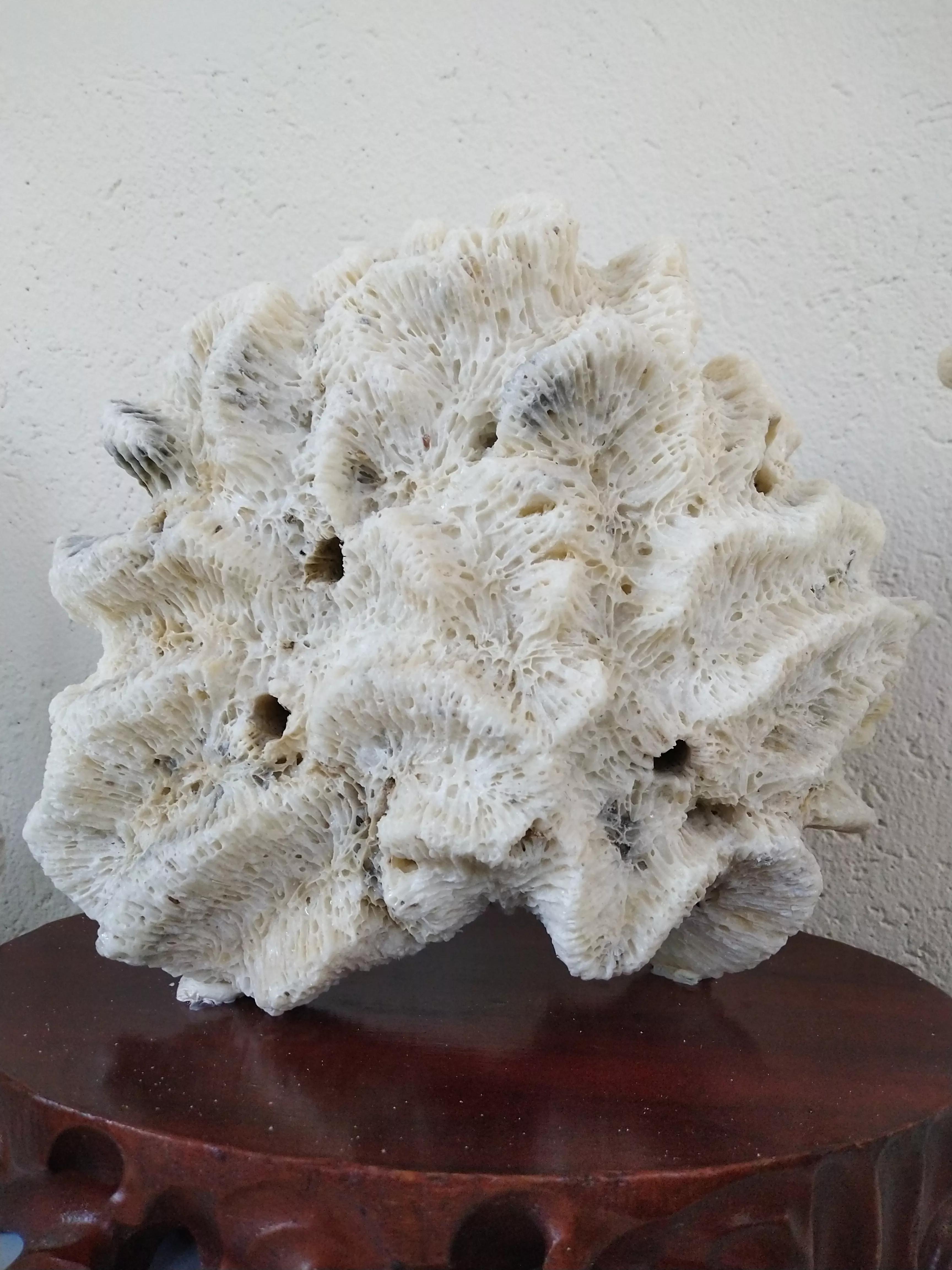 发现大自然的美的作文500字,发现大自然的美一篇作文