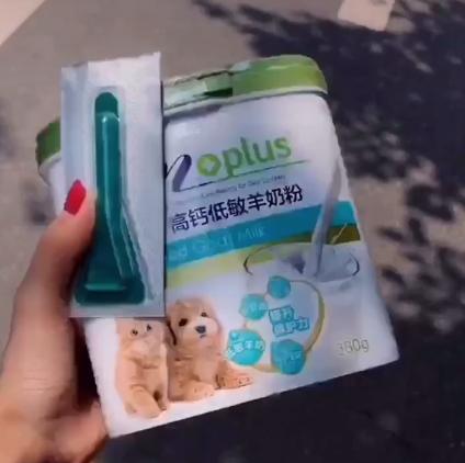 小猫被主人丢弃却被路人打了,小猫幼崽被遗弃后续