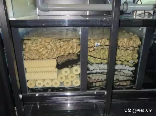 杩囨护绁炲櫒濂界墿鎺ㄨ崘,楸肩几杩囨护骞茶揣璁茶В