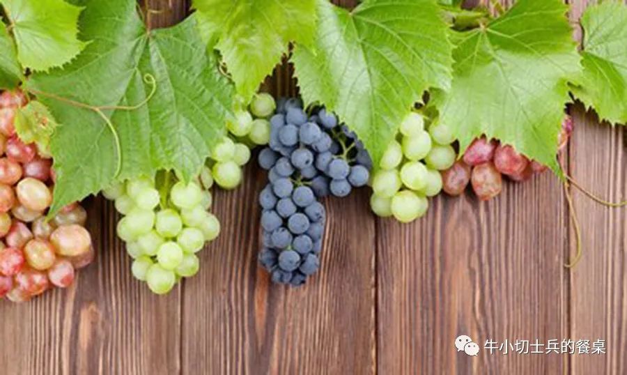 聚天地之灵气纳日月之精华道德经,聚天地之元气纳日月之精华