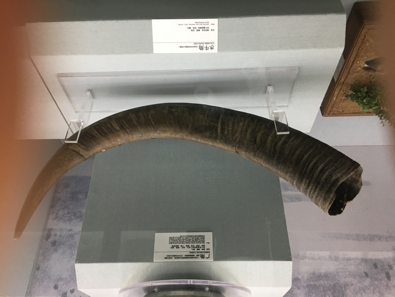 孙思邈的尸体之谜,药王孙思邈一些奇怪理论