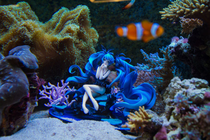 养硬骨珊瑚需要什么设备,新手养珊瑚步骤