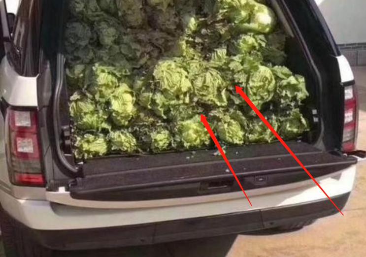 路虎拉白菜视频,后备箱拉菜被罚