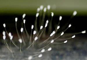 原谅我知识浅薄,原谅我知识浅薄这什么意思