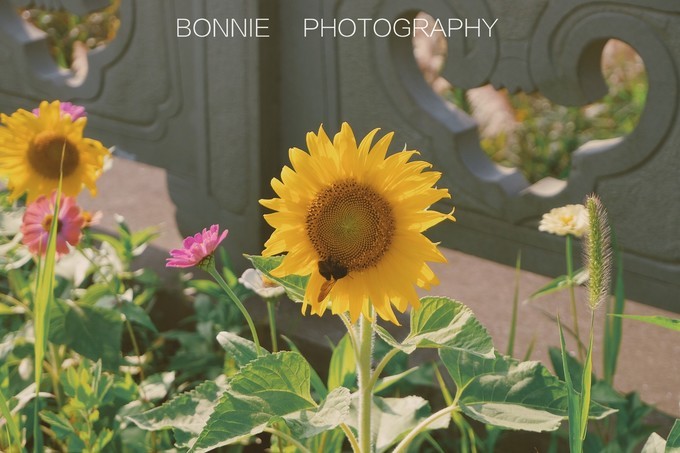 嵊泗列岛3天2夜攻略,嵊泗本岛三天两夜自由行攻略