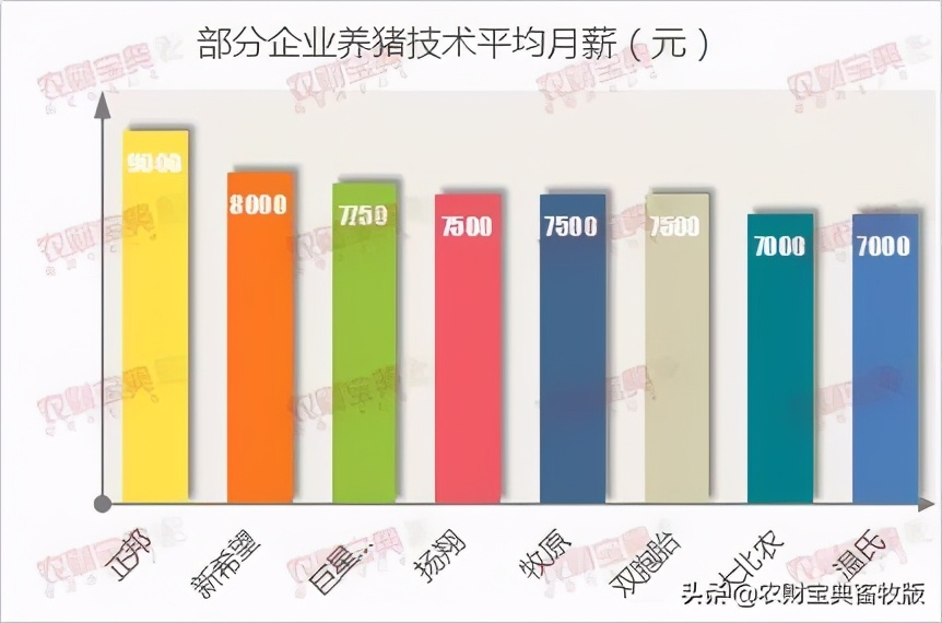 猪企招工,猪企员工现状待遇