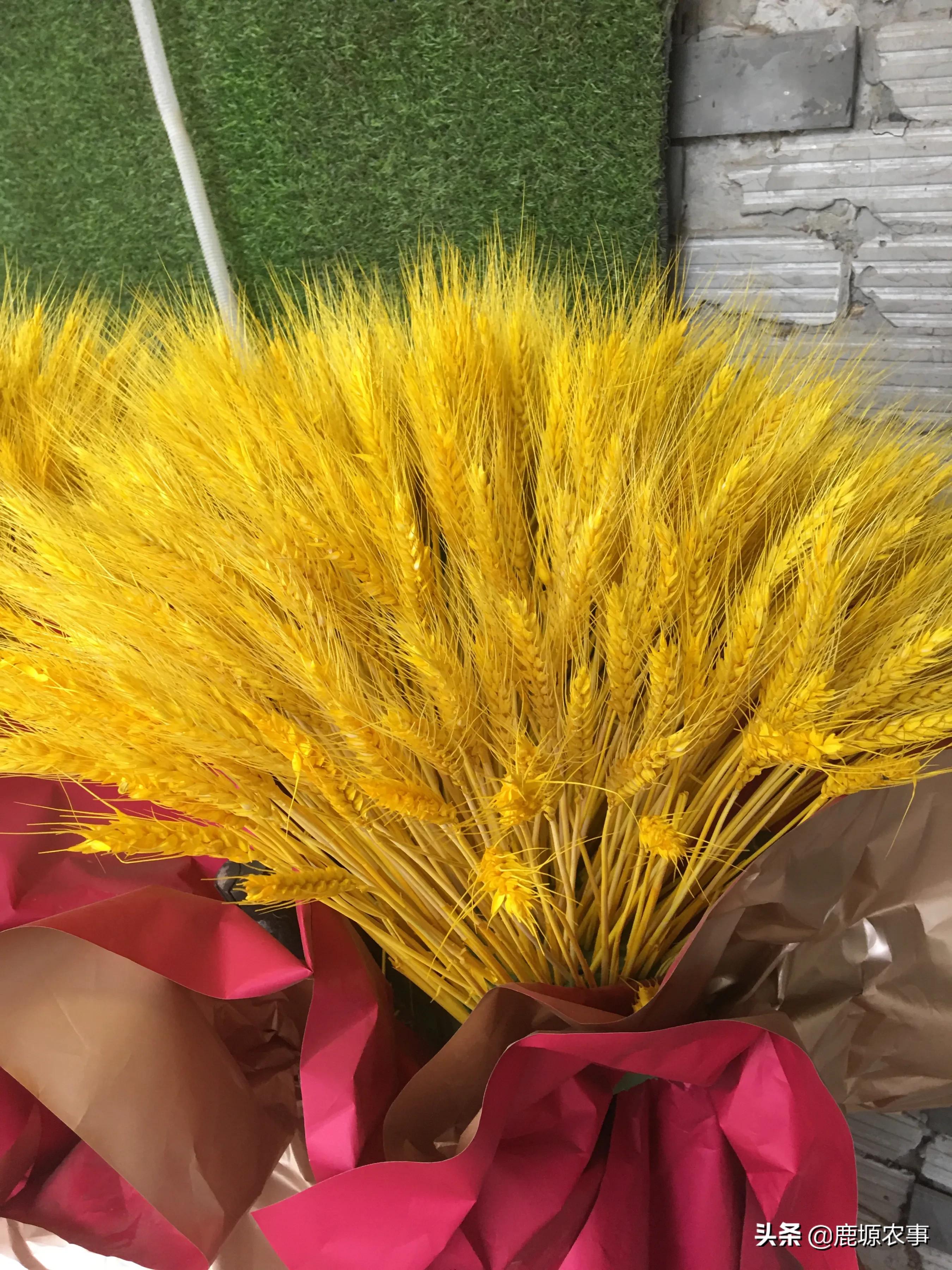 普通麦穗开业花篮,普通麦穗