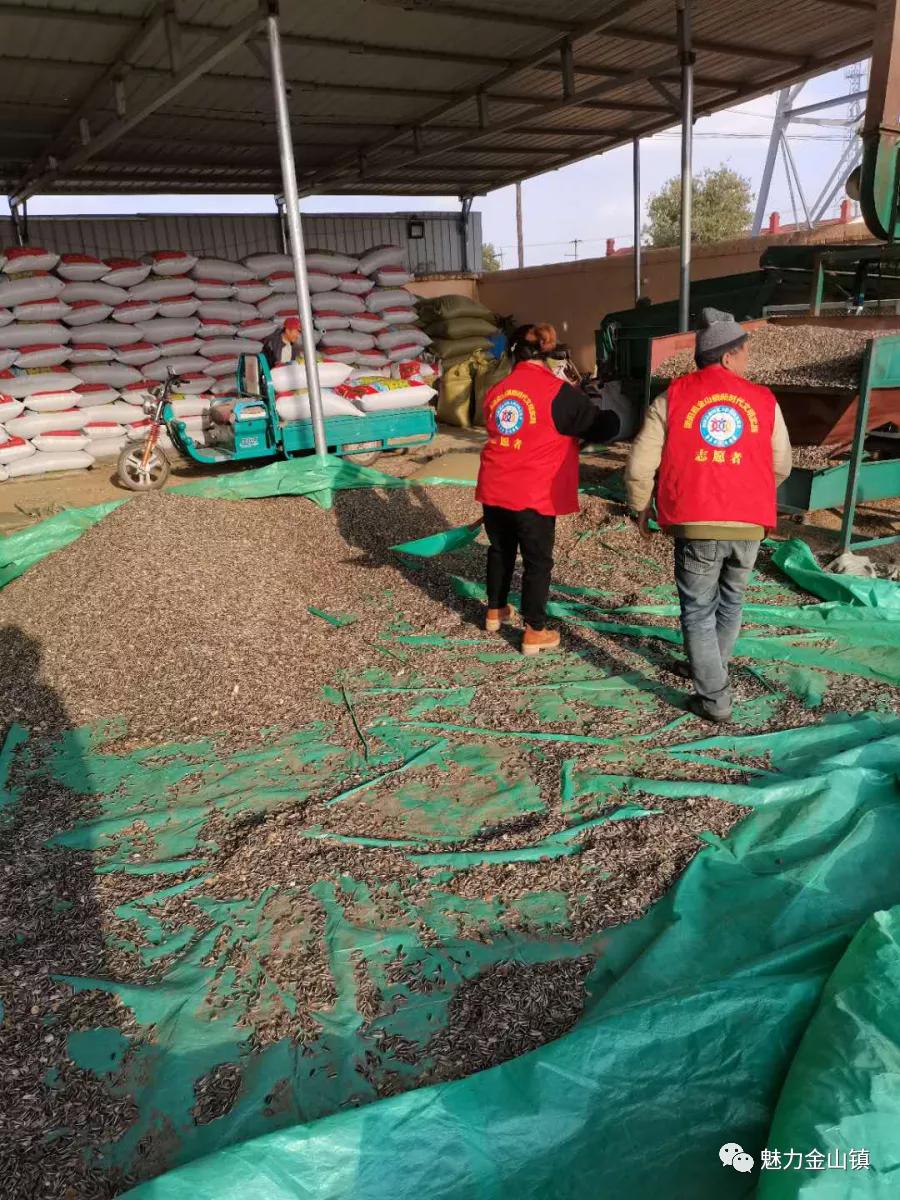 固阳县金山镇新时代文明实践,喜报固阳县文明创建再添荣誉