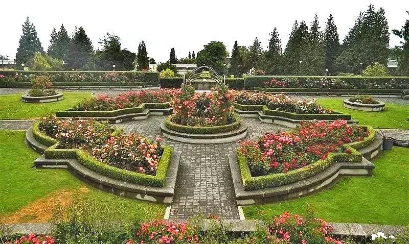 全球顶尖研究型大学,世界顶尖大学录取通知