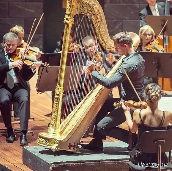 梅斯特竖琴王子,泽维尔德梅斯特竖琴