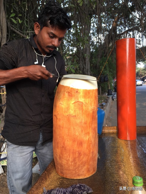 印度巨型根菜,印度根菜