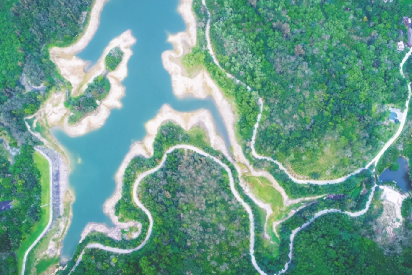 海南矿产资源储量,海南槟榔之乡