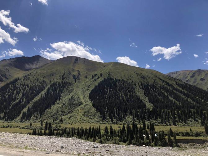 出游大美新疆第十四天,郑州周边2-3天短途旅游亲子11月