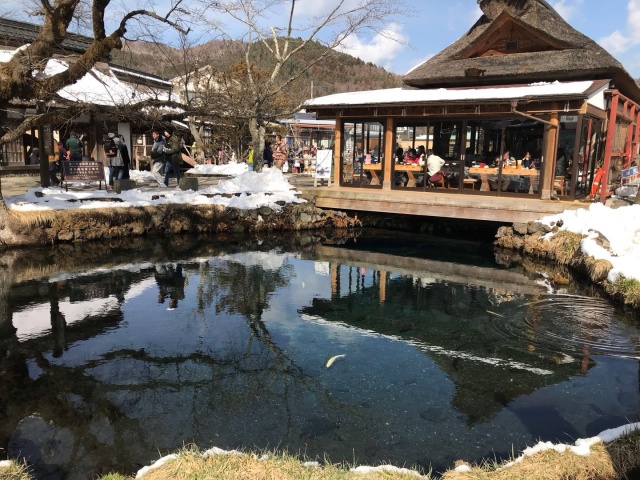 东京自由行攻略和费用 (日本东京大阪京都自由行)