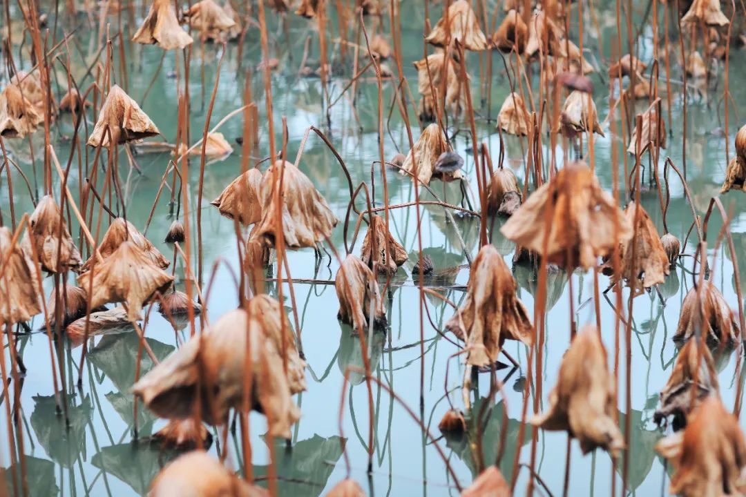 闃虫緞婀栨矙瀹舵禍鐖婇浮,涓轰簡澶ч椄锜规潵鍒伴槼婢勬箹