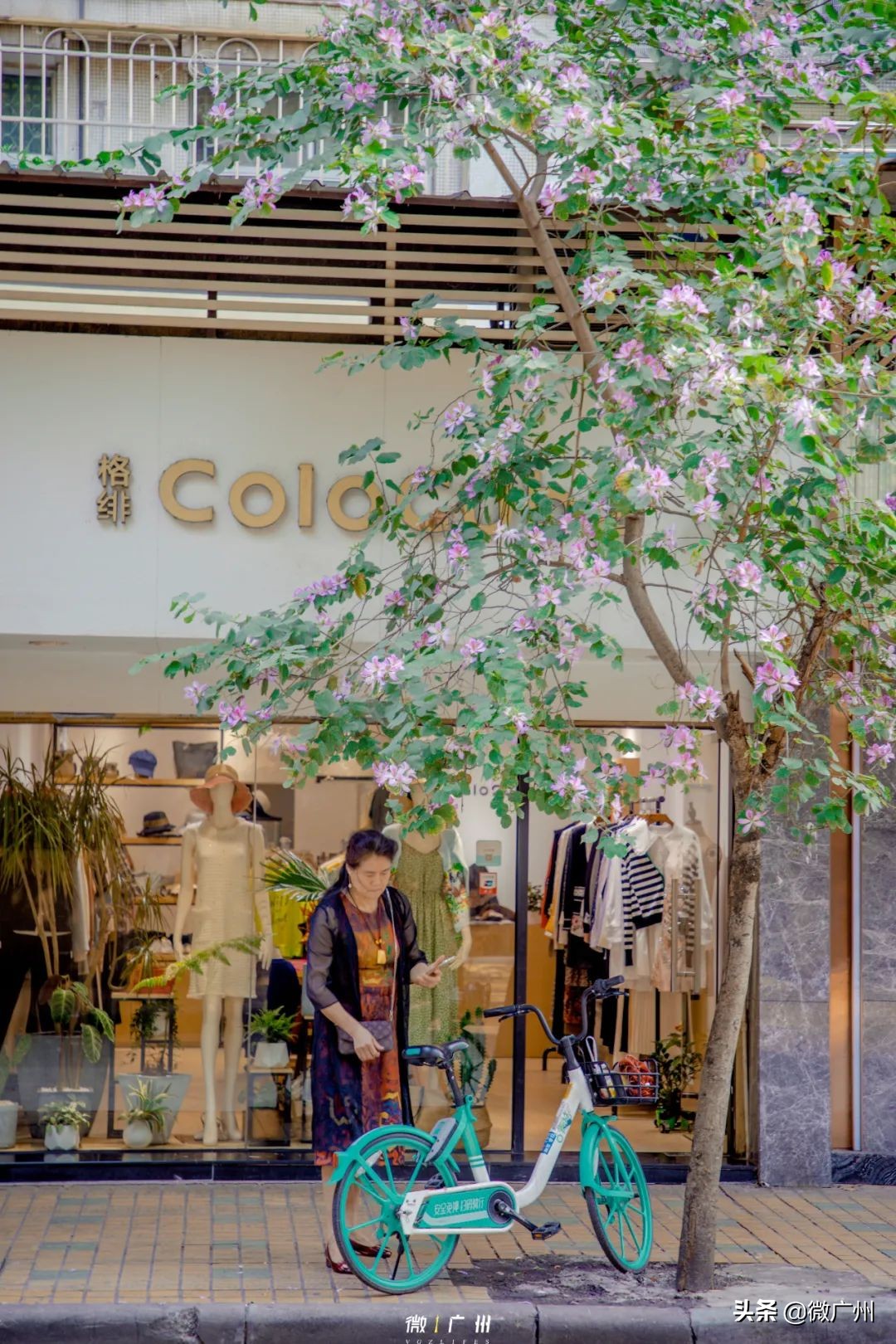 广州五羊邨富人区,广州被遗忘的荒村