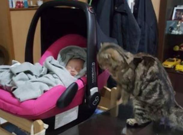 用婴儿车哄睡可以吗,怎么在车里哄睡