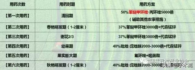 树脂病防治最佳时间,树脂病有特效药吗