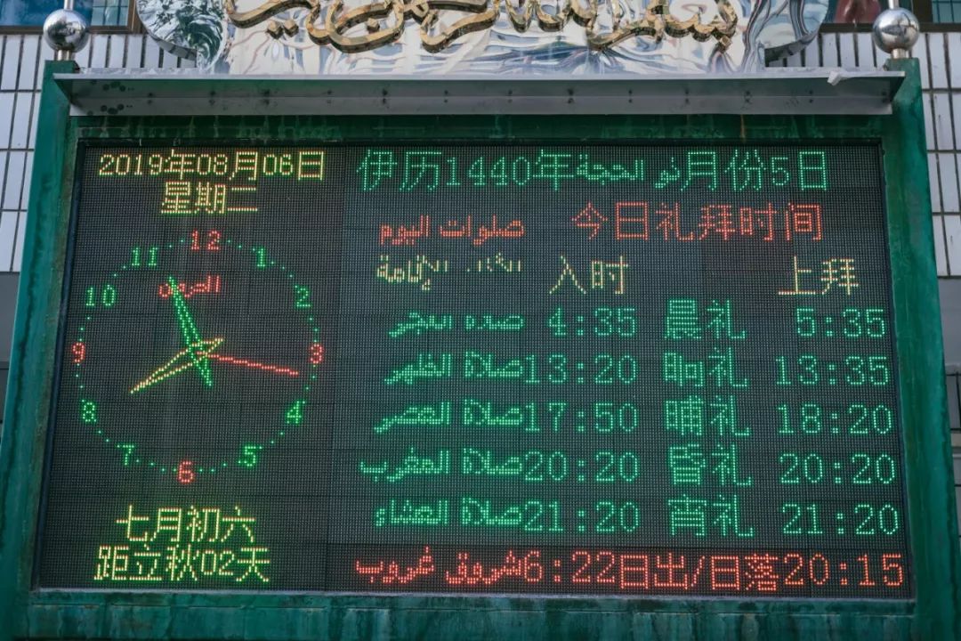 只要你面朝青海湖，八月依旧春暖花开