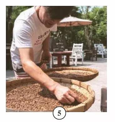 陶锅咖啡豆,陶锅烘焙咖啡豆