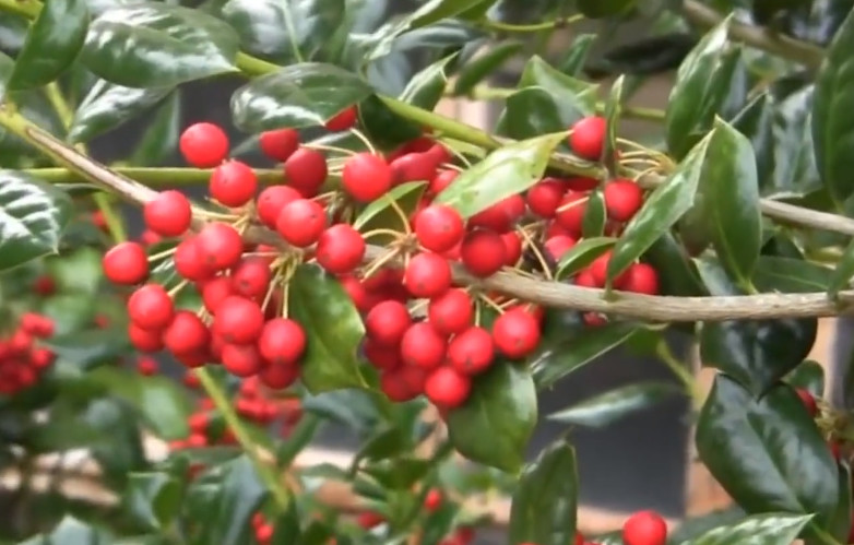 腰肌劳损的最佳康复方法,腰肌劳损的自我治疗和恢复的方法