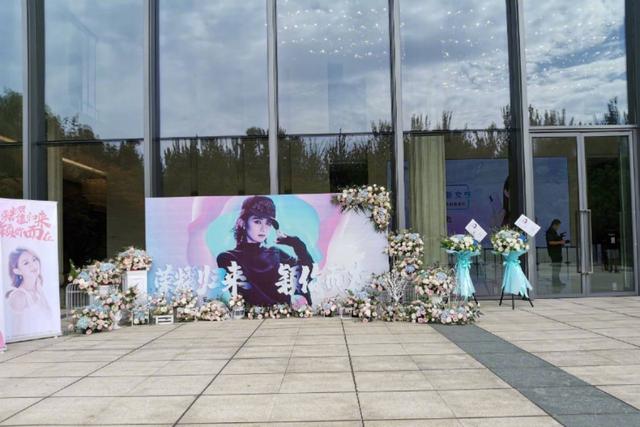 赵丽颖谈复出重新开始,赵丽颖复出接机图片