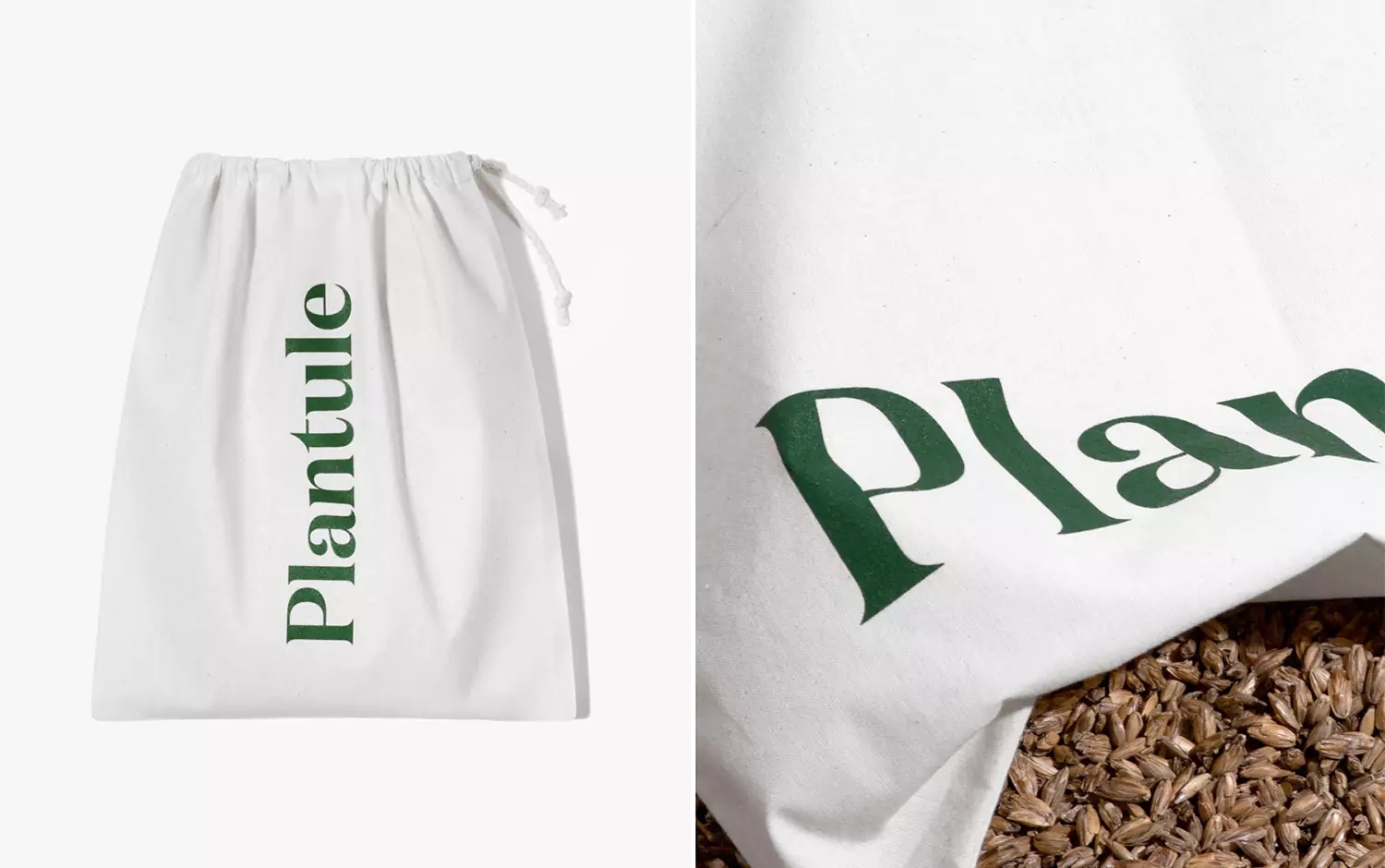 PlantulePillows家居品牌设计via:DmowskiCo.