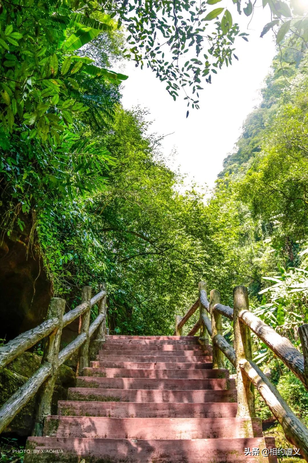 赤水大瀑布 侏罗纪公园 (贵州赤水侏罗纪公园攻略)