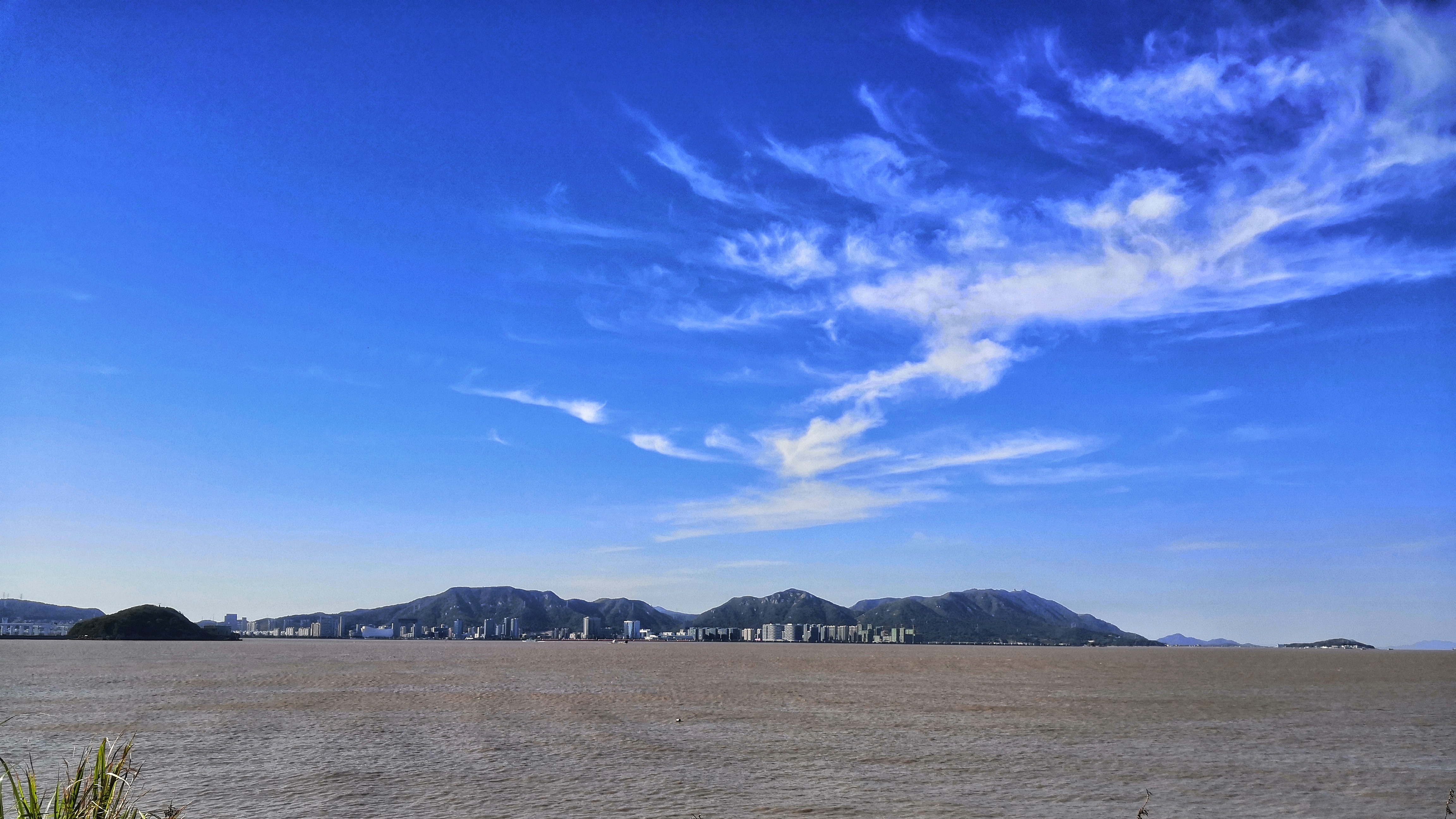 仙坛股份官网,仙坛股份业务