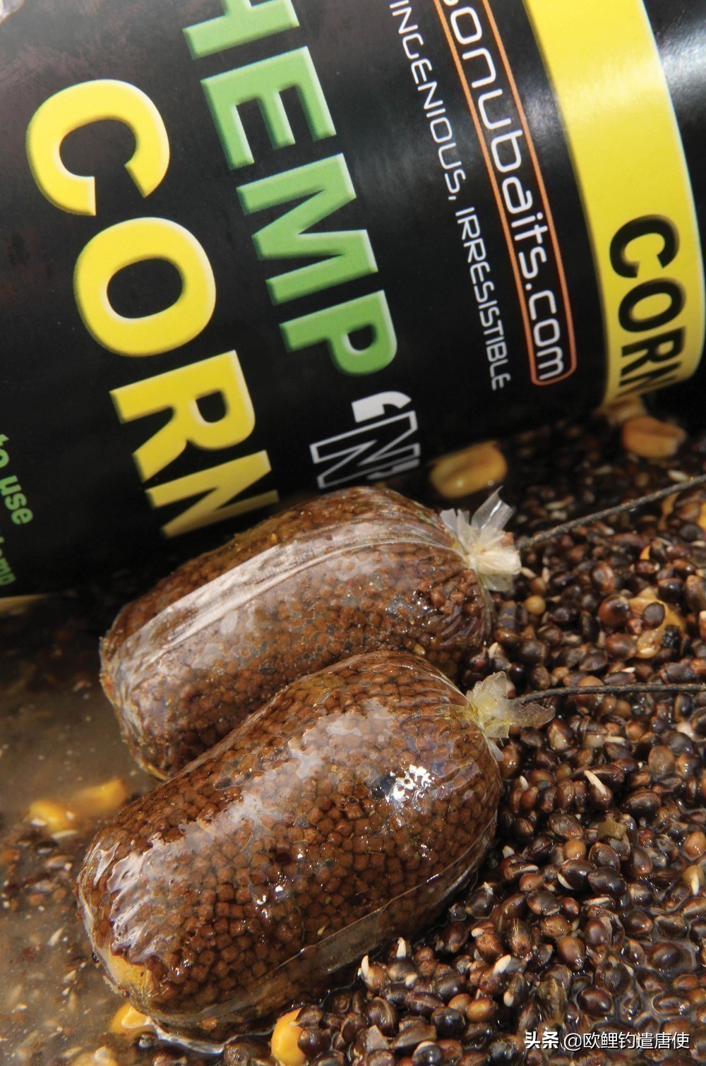 话说欧鲤之钓组篇,话说欧鲤钓