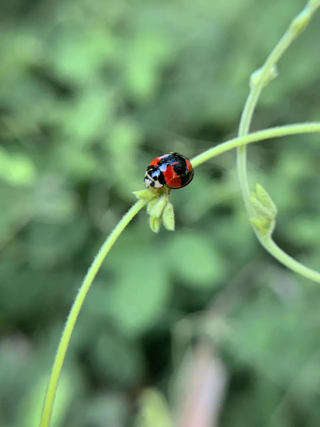 周末人像摄影作品欣赏,周末摄影作品欣赏大全