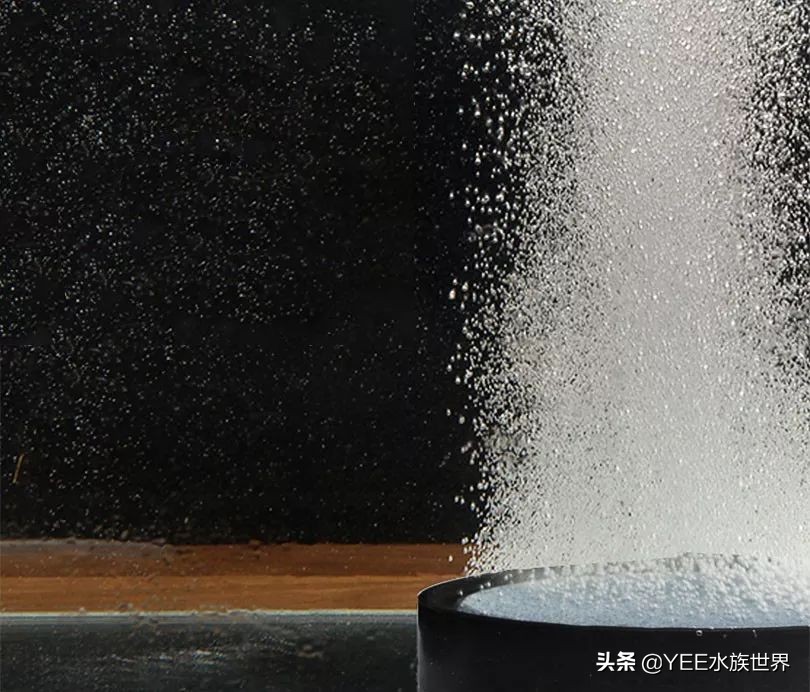 静音氧气泵使用方法,氧气泵太吵从这几点入手效果明显