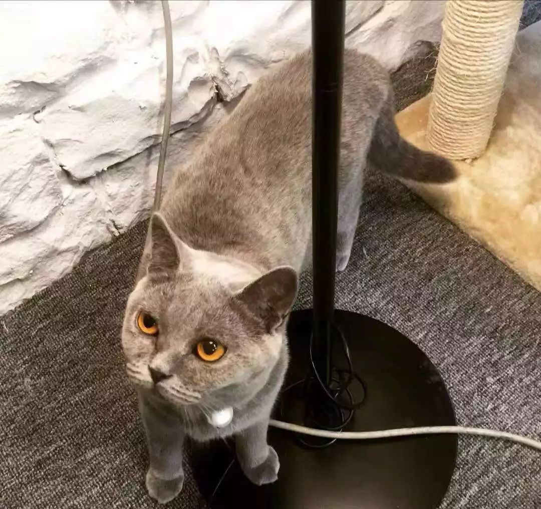 武汉市这些射箭馆里，既有温柔的姑娘，也有热血的沙场