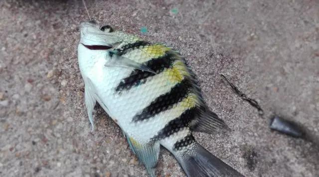 珠海万山岛一日游价格,珠海万山岛旅游景点