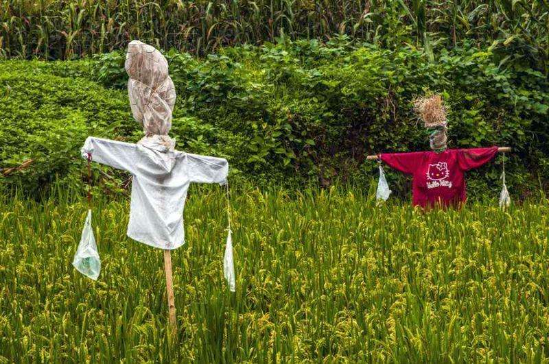 浜洪笩澶ф垬璋佽兘鎵撹耽,浜洪笩鎴樹簤